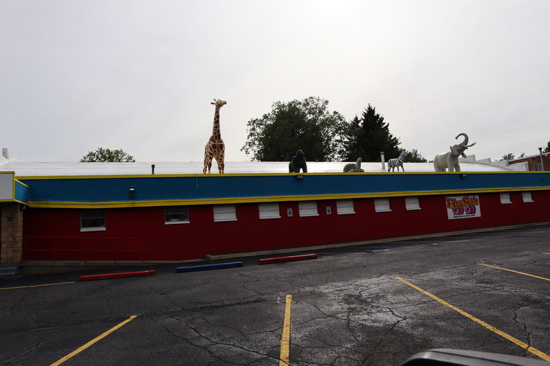 Edru Skate - May 2022 Photo